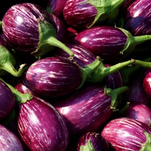 Brinjal