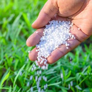 Chemical Fertilisers