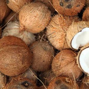 Coconuts