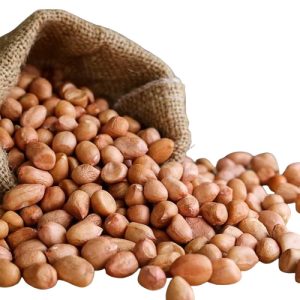 Groundnut