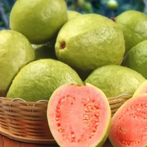Guava Fruits