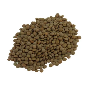 Lentils Seeds