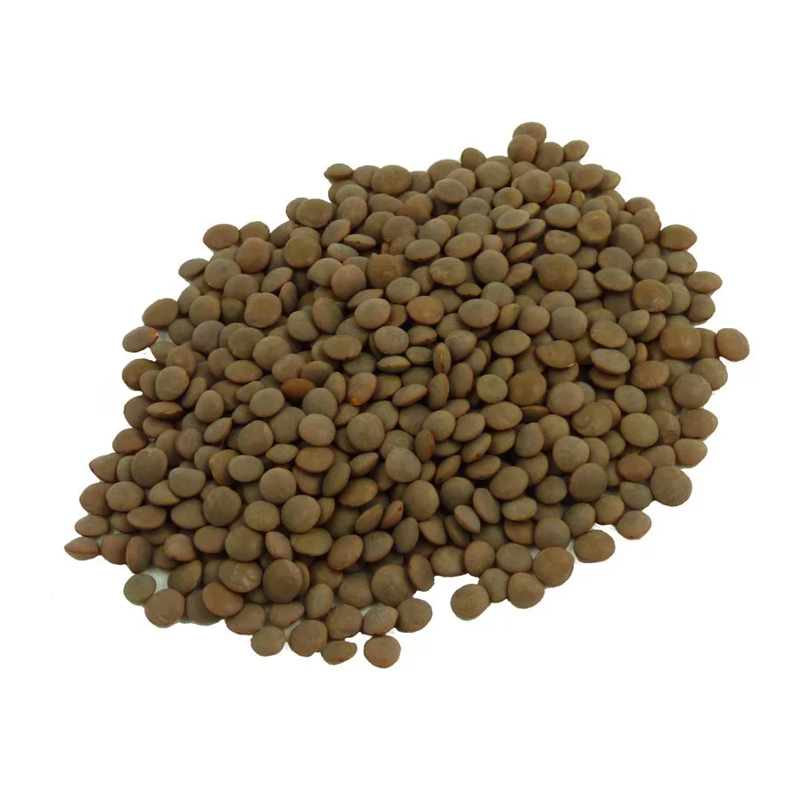 Lentils Seeds