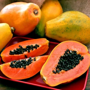 Papaya Fruits