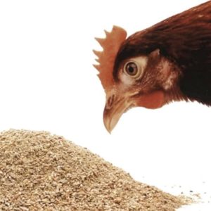 Poultry feed