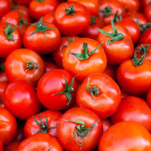 Tomato